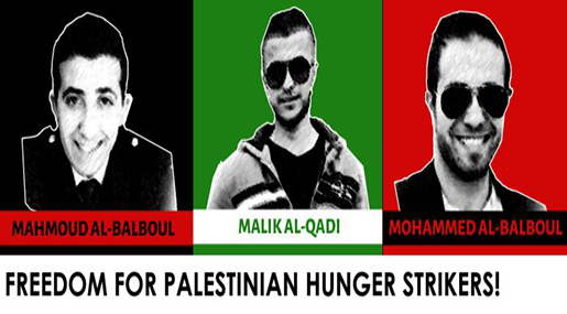 Al-Qadi, Balboul Brothers into Freedom