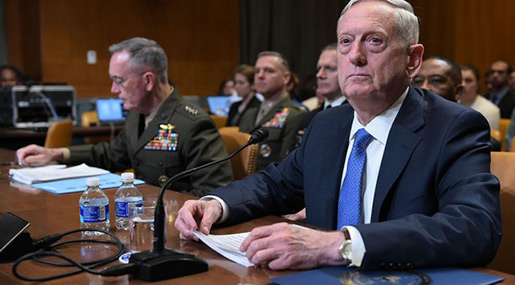 Pentagon Chief: US to Step Up Support for Saudis