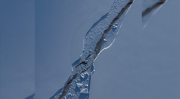 Larsen C 