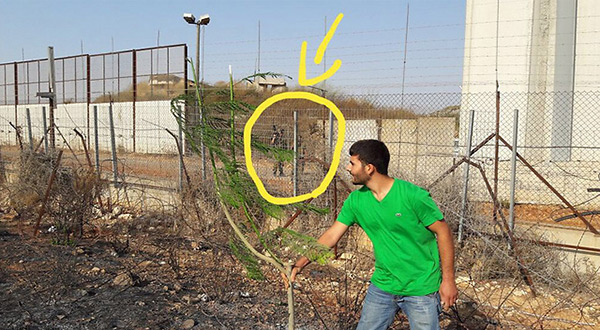 Plant a Tree, Scare «Israel»: Zionists Afraid of Lebanon’s «Green Resistance»