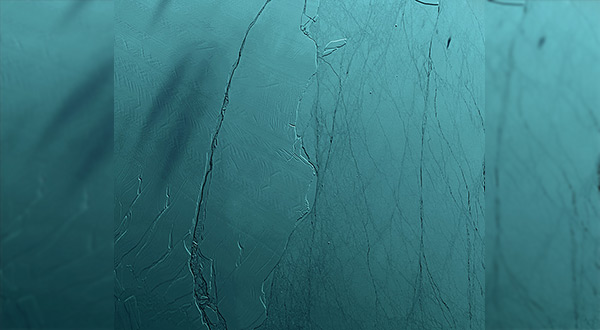 Larsen C