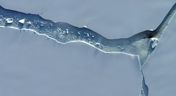 Larsen C