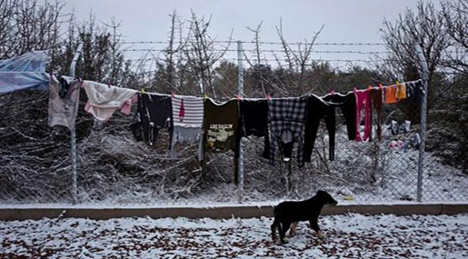 Cold Increasing Death Toll in Europe Cold Increasing Death Toll in Europe