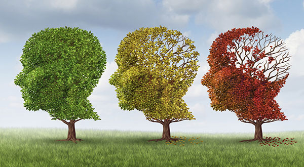 Healthier Life, More Knowledge Could Cut Dementia Cases By 1/3 Healthier Life, More Knowledge Could Cut Dementia Cases By 1/3
