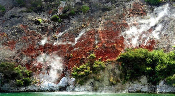 World 8th Wonder 'Rediscovered' in New Zealand after Years of Research 
