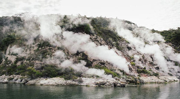 World 8th Wonder 'Rediscovered' in New Zealand after Years of Research 