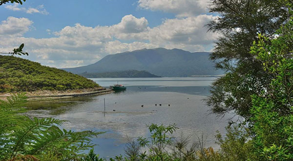 World 8th Wonder 'Rediscovered' in New Zealand after Years of Research 