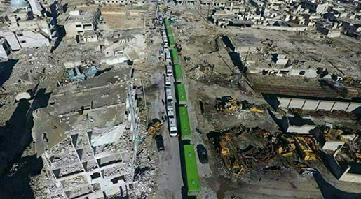 Green buses