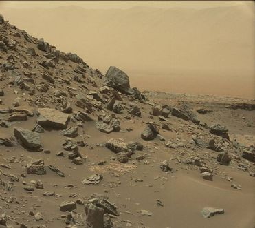 Potatoes on Mars?!