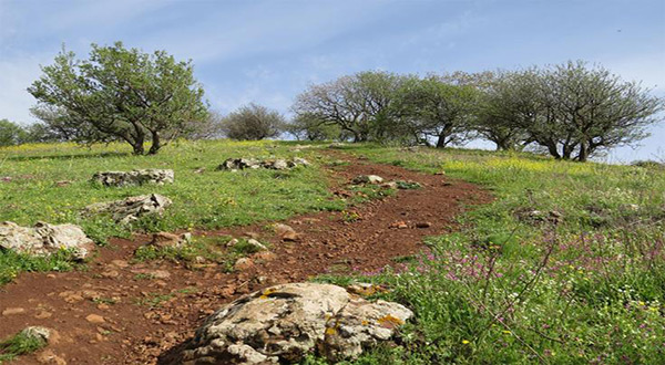 «Israel» Approves Hiking Trail Through West Bank, Golan