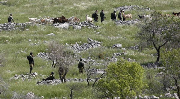 «Israel» Okays Exportation of Palestinian Land