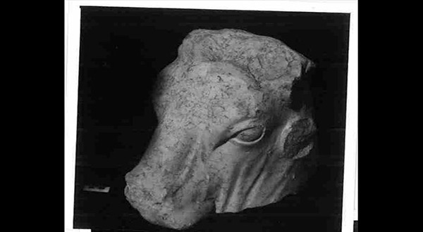 Bull sculpture