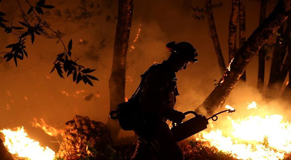 California Wildfires: Toll Rises to 31, 100s Still Missing