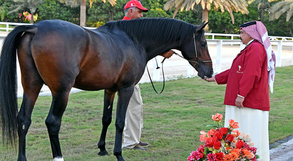 UK’s Queen Accused of Horse Trading with Bahrain on Human Rights