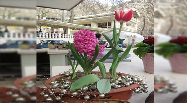Nowruz