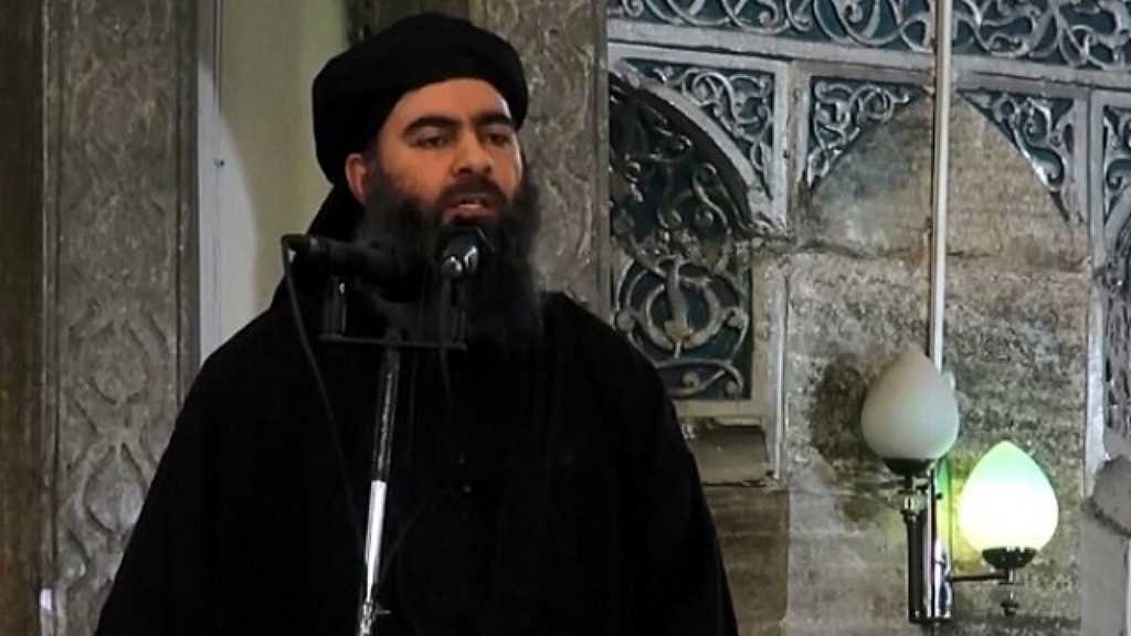 Daesh: Al-Baghdadi’s Son Killed in Syria
