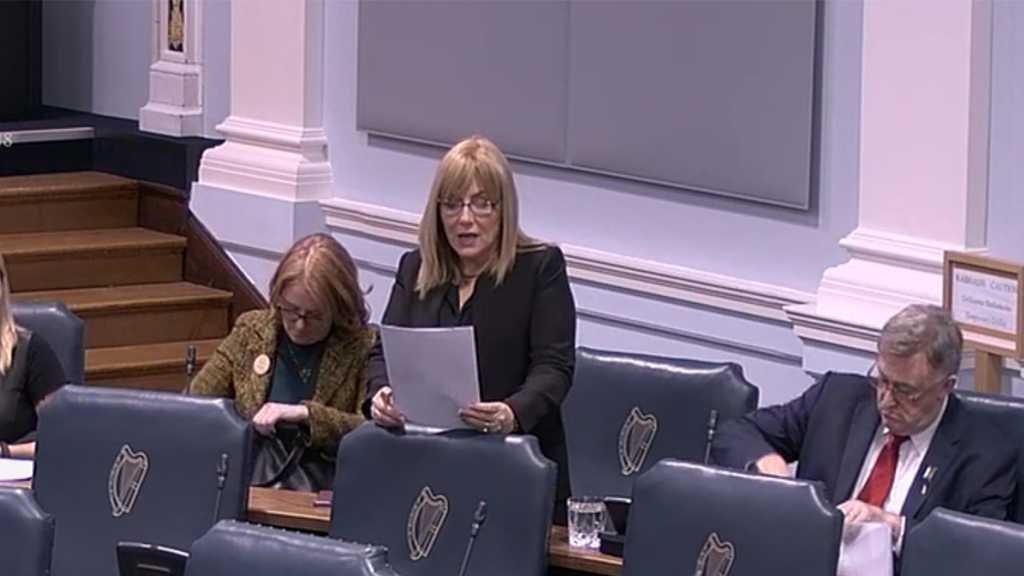 Irish Senate Approves Ban on Products from “Israeli” Settlements