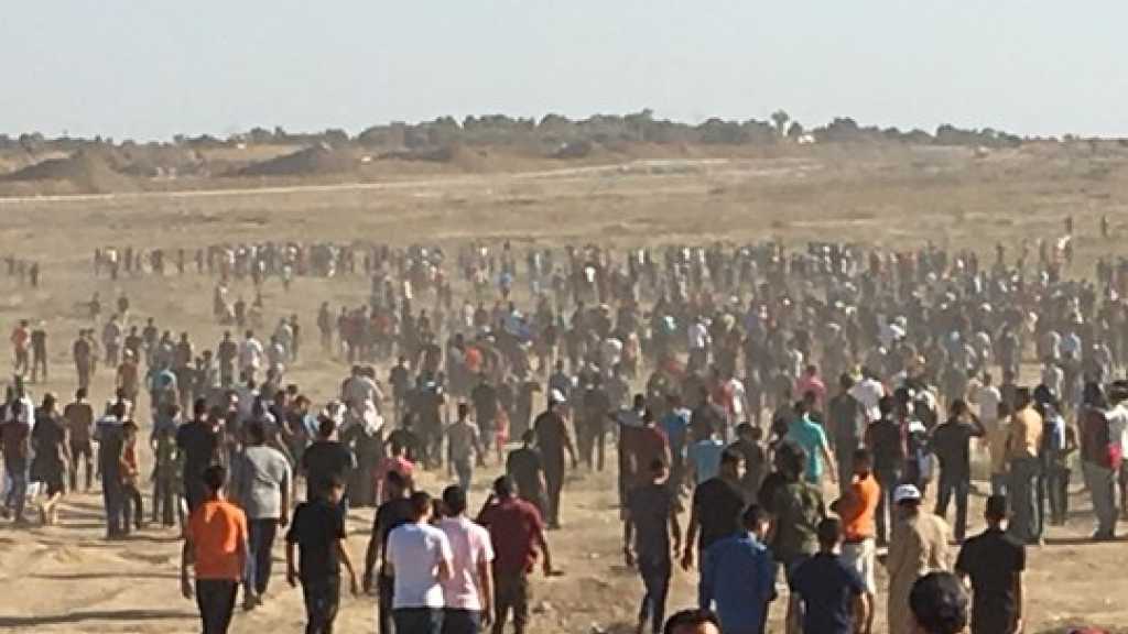 2 Palestinians Martyred, Several Injured on ’Great March of Return’