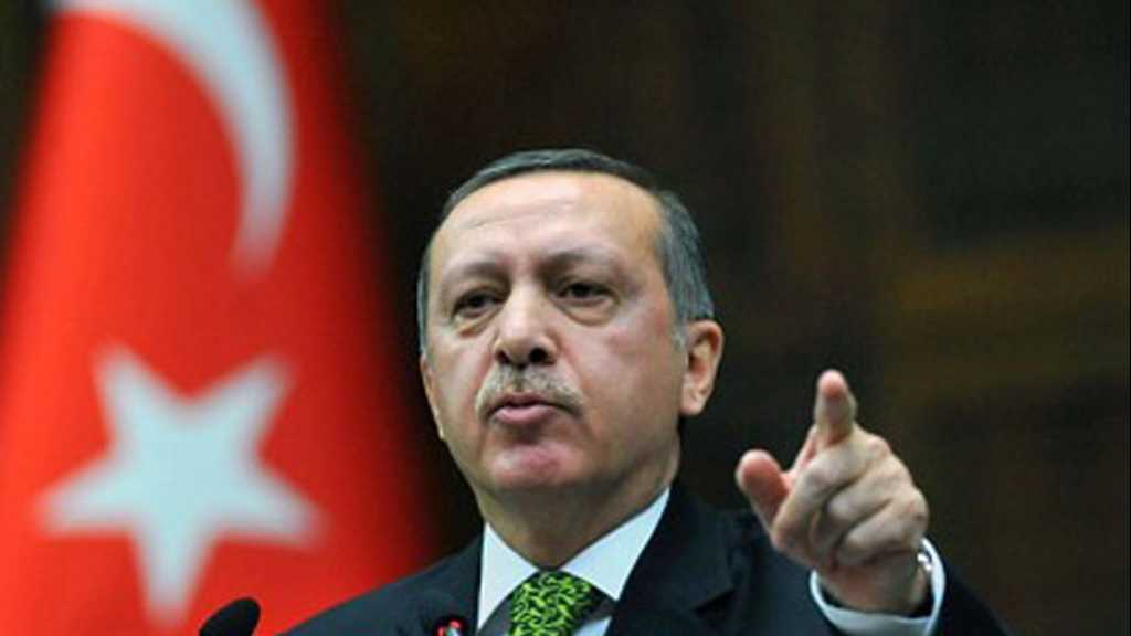 Turkey Slams ’Wild Wolves’, Vows to Abandon Dollar in Trade