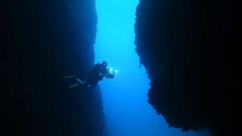 Mystery See-Through Critter Found Lurking Miles Down in Pacific Deeps