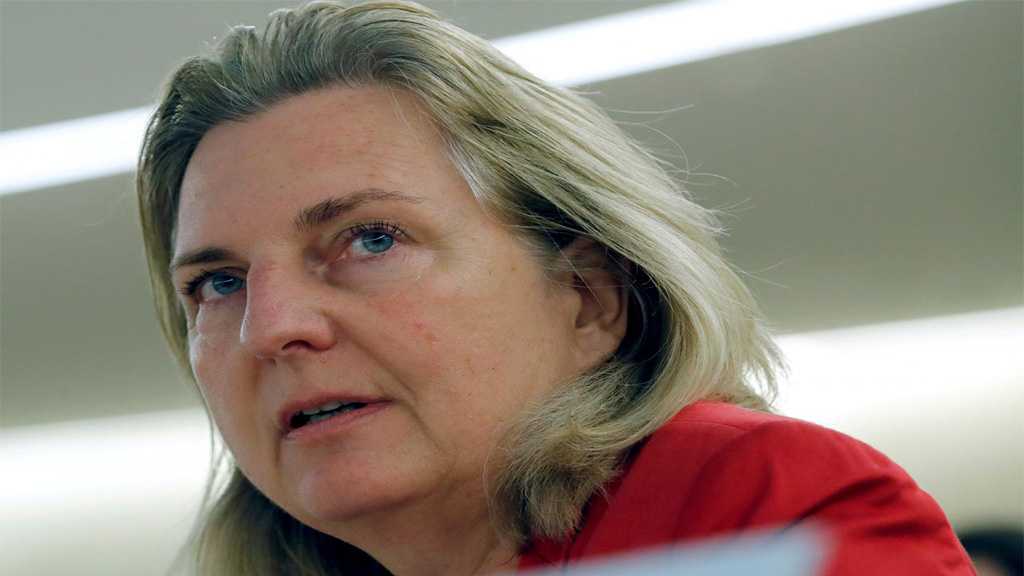 Austria Calls for EU Embargo on Arms Deliveries to Saudi Arabia 