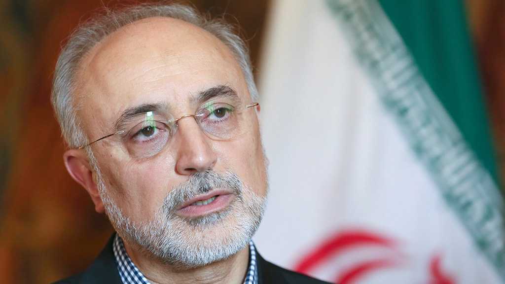 AEOI: Sanctions Will Fail to Hinder Iran’s Progress