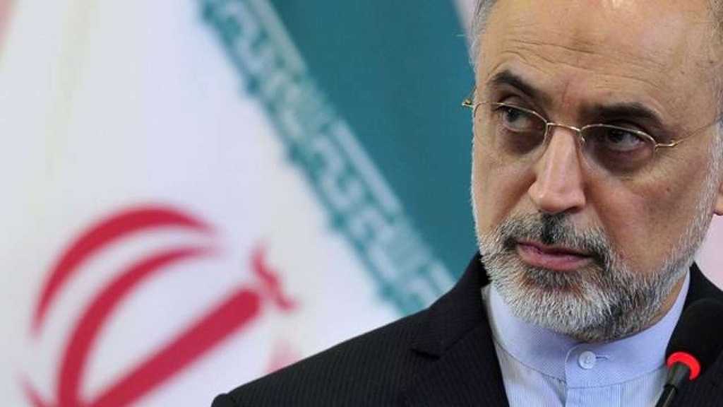 Iran, EU Reiterate Resolve to Abide by Nuclear Deal Despite US Withdrawal