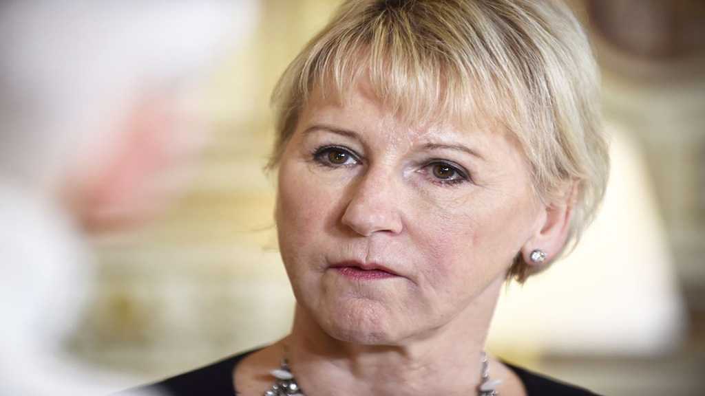 Swedish FM: Yemen Consultations are the First Step on the Long Road to Peace