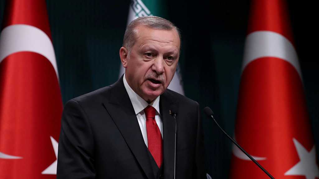 Erdogan: Trump Is Right on Syria, Turkey Can Get the Job Done