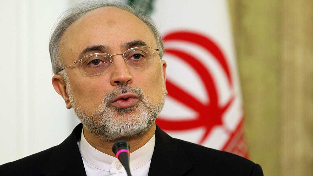 AEOI Chief: Iran Taking First Steps to Design 20% Modern Nuclear Fuel