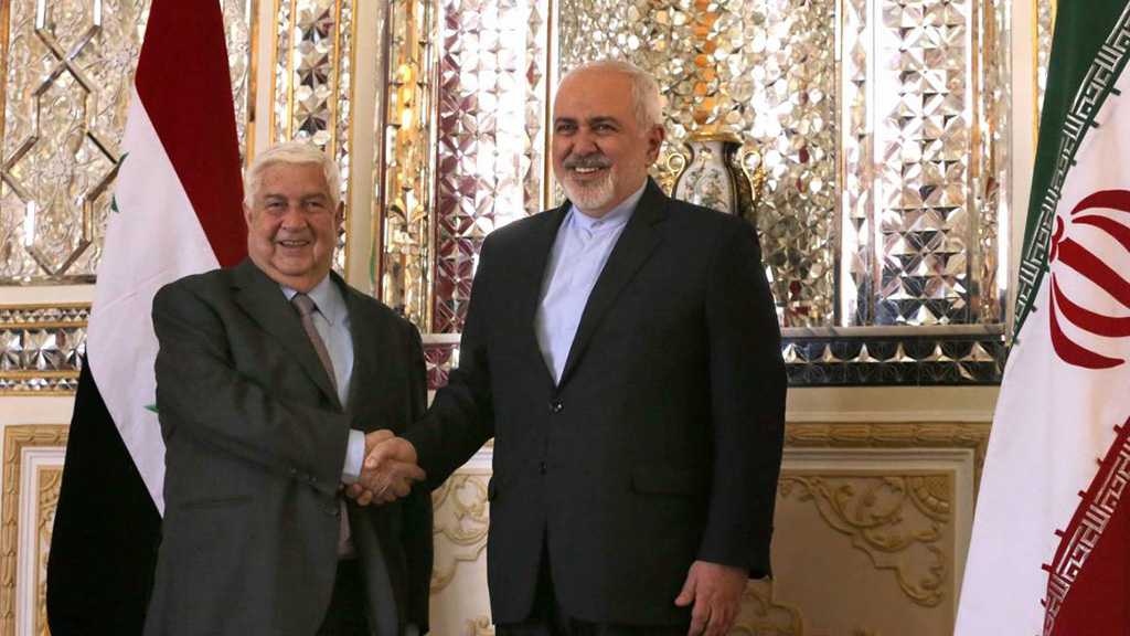 Zarif: Terrorists Don’t Want Stability in Syria, Region