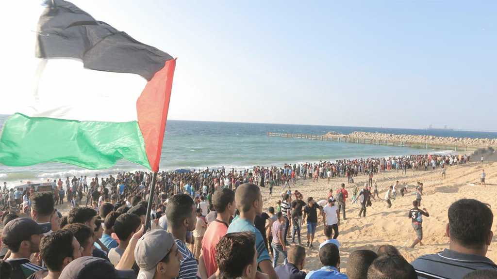 Gaza: Dozens Injured During Naval Protest against ‘Israeli’ Blockade