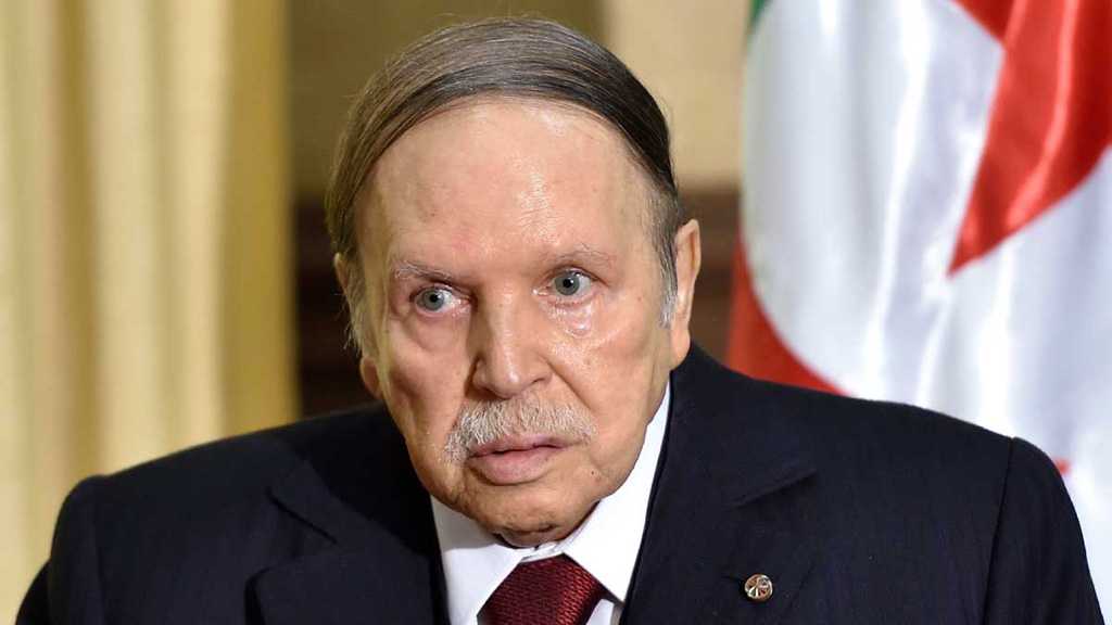Frustration Drives Algeria’s «Shockwave» Protests