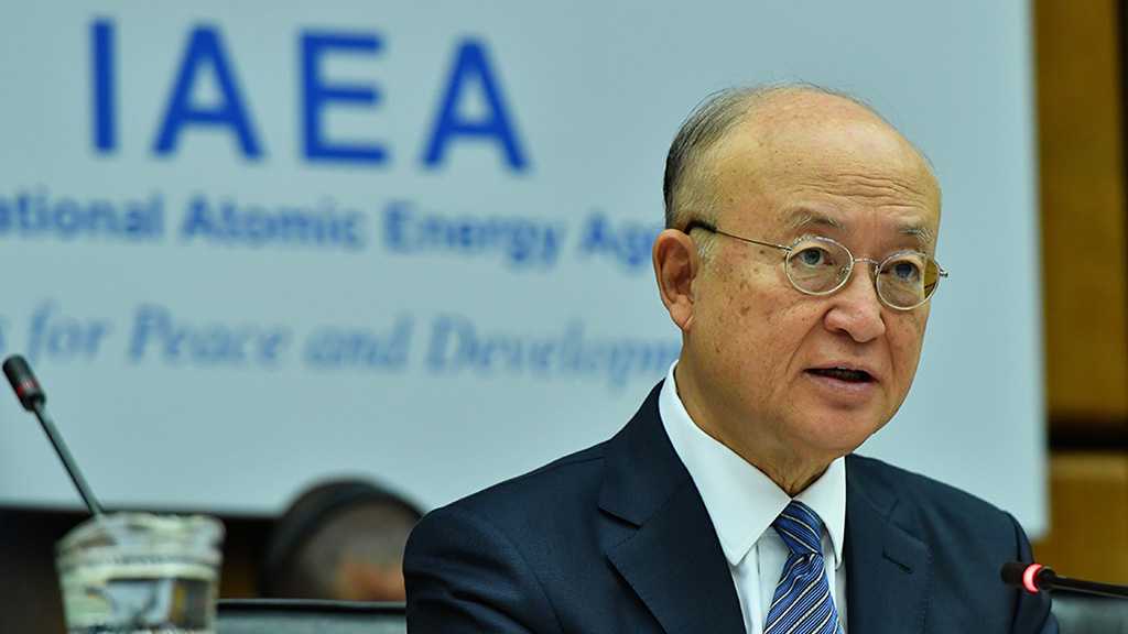 Saudi Arabia Must Place Safeguards on First Nuclear Reactor - IAEA