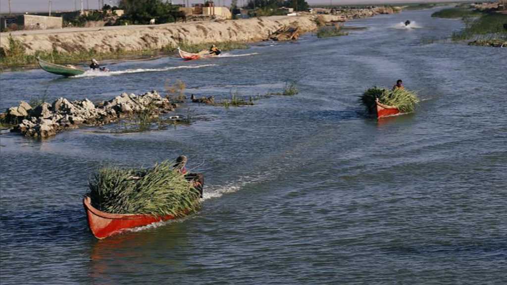 Unexpected Rainfall Revives Iraq’s Historic Marshlands