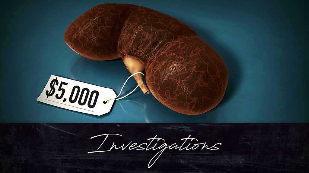 The Kidney Brokers: Yemeni Organs Sold For $5,000 in Egypt