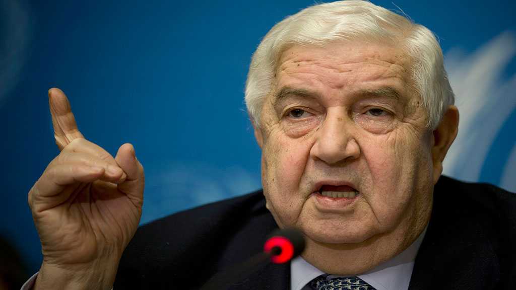 Syrian FM: International Community Must Confront US Economic Terrorism