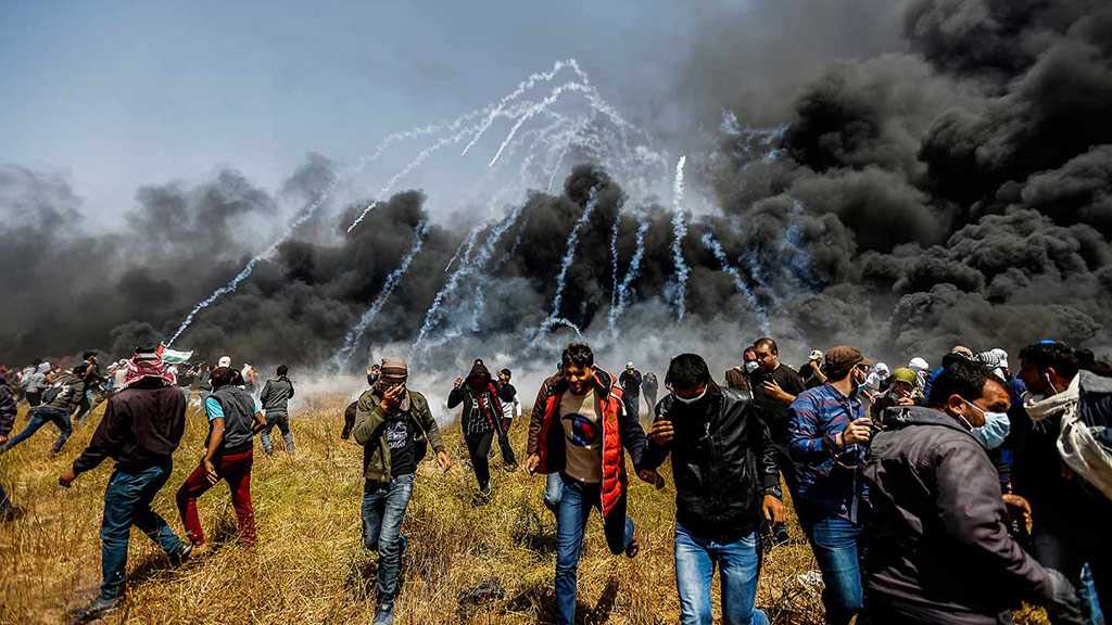 Palestinian Martyred by «Israeli» Fire in Gaza Border