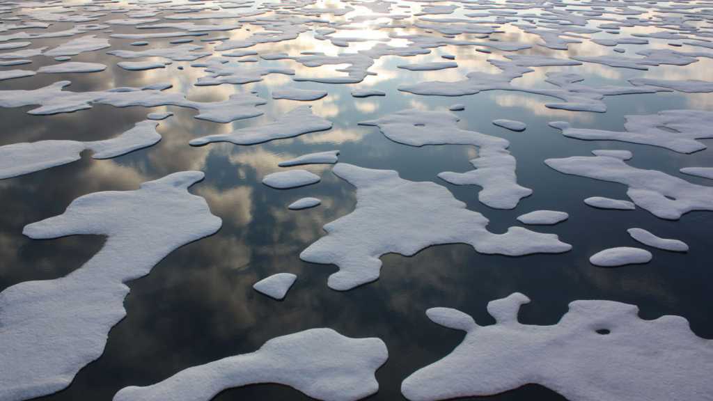 Scientists Warn Alaska’s Waters Are Now Ice-Free