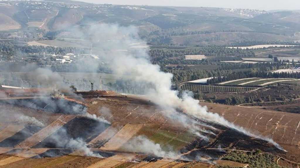 About the ‘Avivim’ Operation: Hezbollah Breached All ‘Israeli’ Fortifications, Ready to Air Video