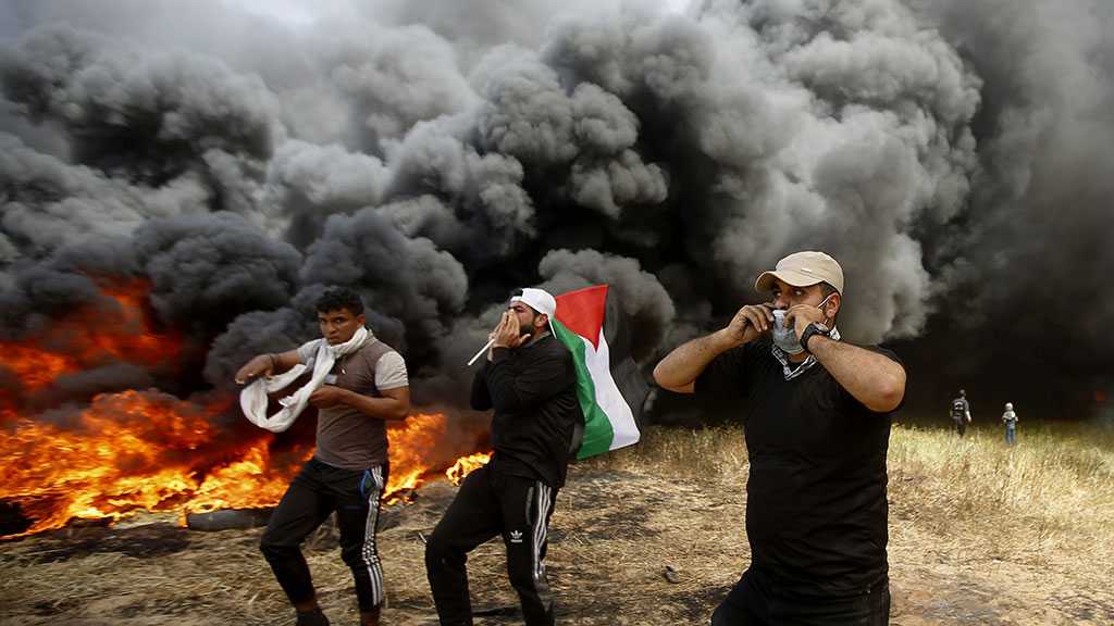 Palestinian Youth Martyred by IOF Fire in Gaza Protests