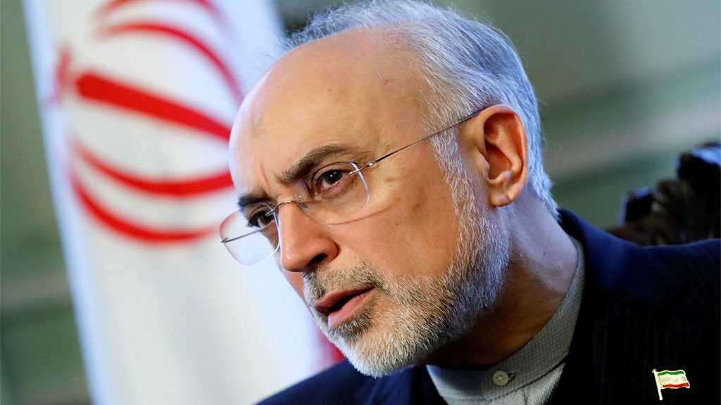 Heavy Water Reactor’s Secondary Part Operational in 3 Weeks - AEOI Chief