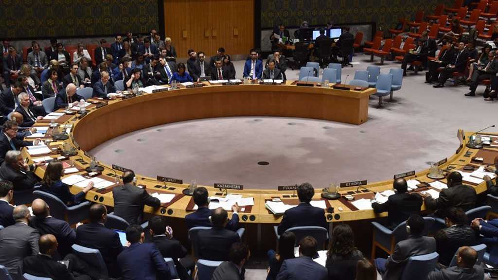 Russia, US Veto European Statement on Turkey’s Syria Aggression