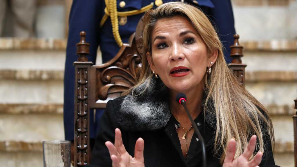 Bolivian Self-Proclaimed Interim Leader Says Elections to Be Called Soon