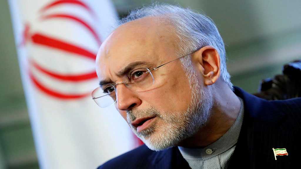 IAEA Inspector’s Possession of Suspicious Material ’Industrial Sabotage’ - Iran