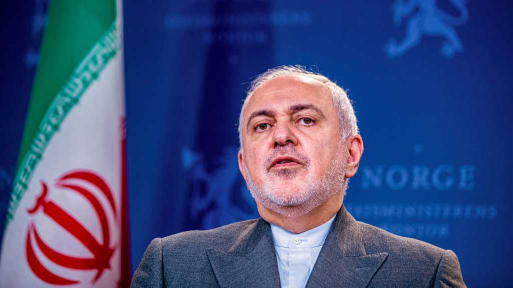 Sweden Expected To Sell Iran Medicine Needed For EB Patients: Zarif