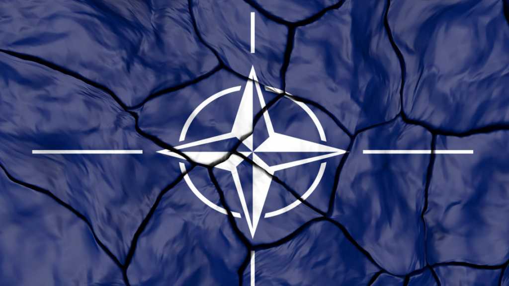 Ex-Austrian FM Believes NATO Becomes Increasingly Fractured