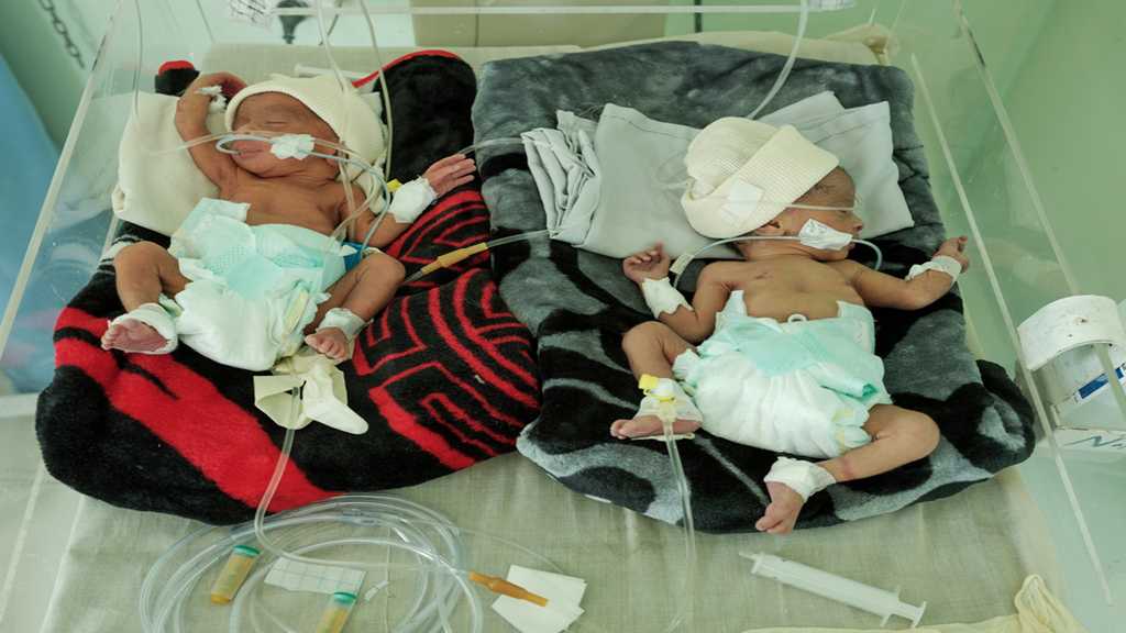 Aid Group Warns of Yemen Dengue Epidemic: 78 Child Dead