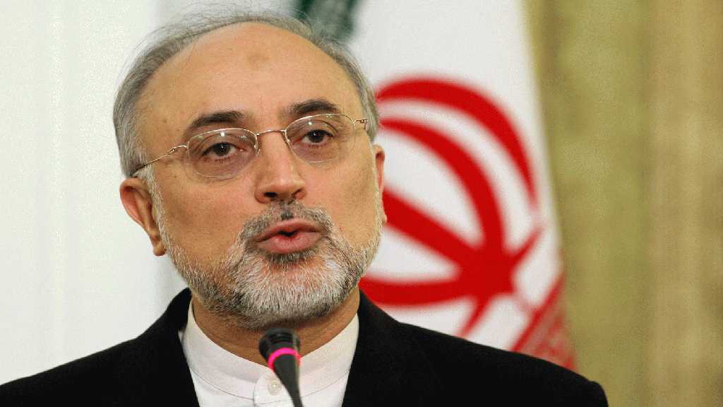 AEOI Slams EU3’s Subservience to US
