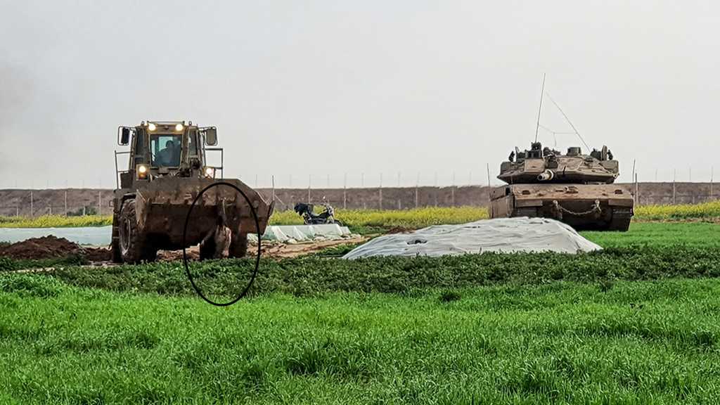 ‘Israel’ Mother of Terrorism: Bulldozer Drags Body of Palestinian Martyr after Forces Shoot Him
